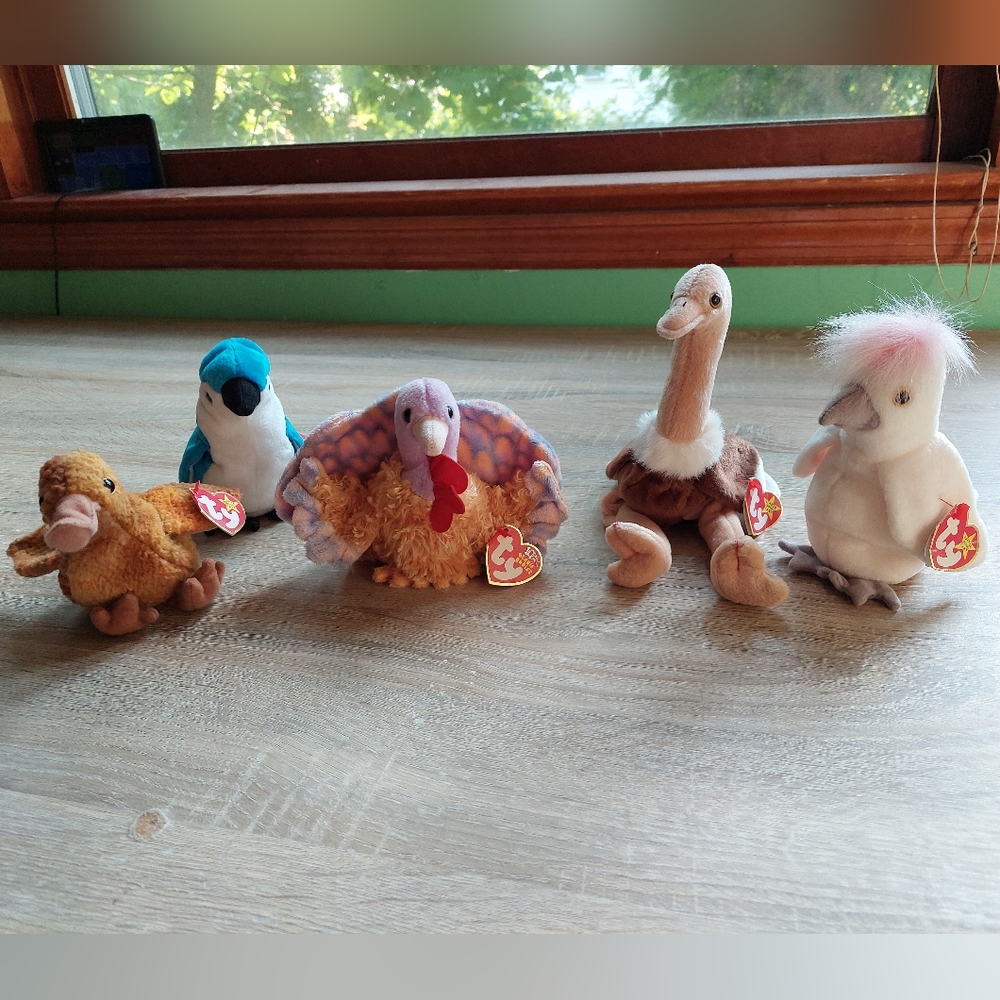 Beanie Baby birds! - Picture 14 of 16